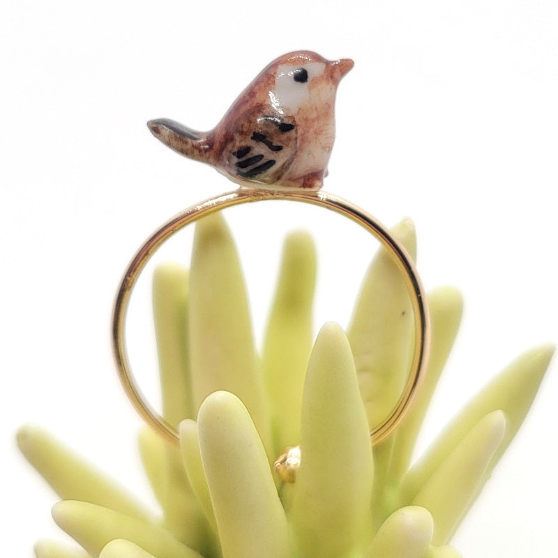 Sparrow Bird Ring